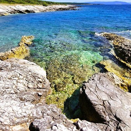 Apartment Agava Istria - Family Vacation Rental With Free Parking, Garden, Wifi Ližnjan Exterior foto