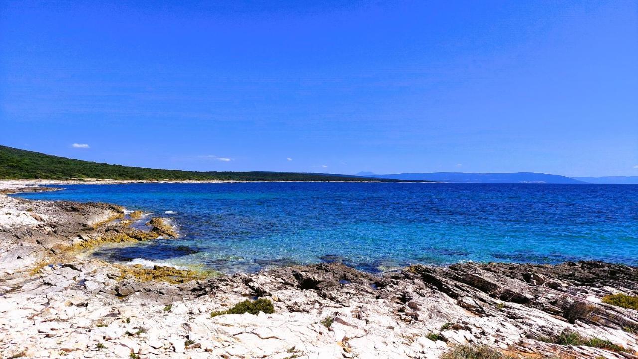 Apartment Agava Istria - Family Vacation Rental With Free Parking, Garden, Wifi Ližnjan Exterior foto